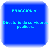 FRACCIÓN VII