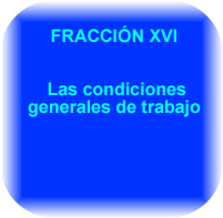 FRACC XVI